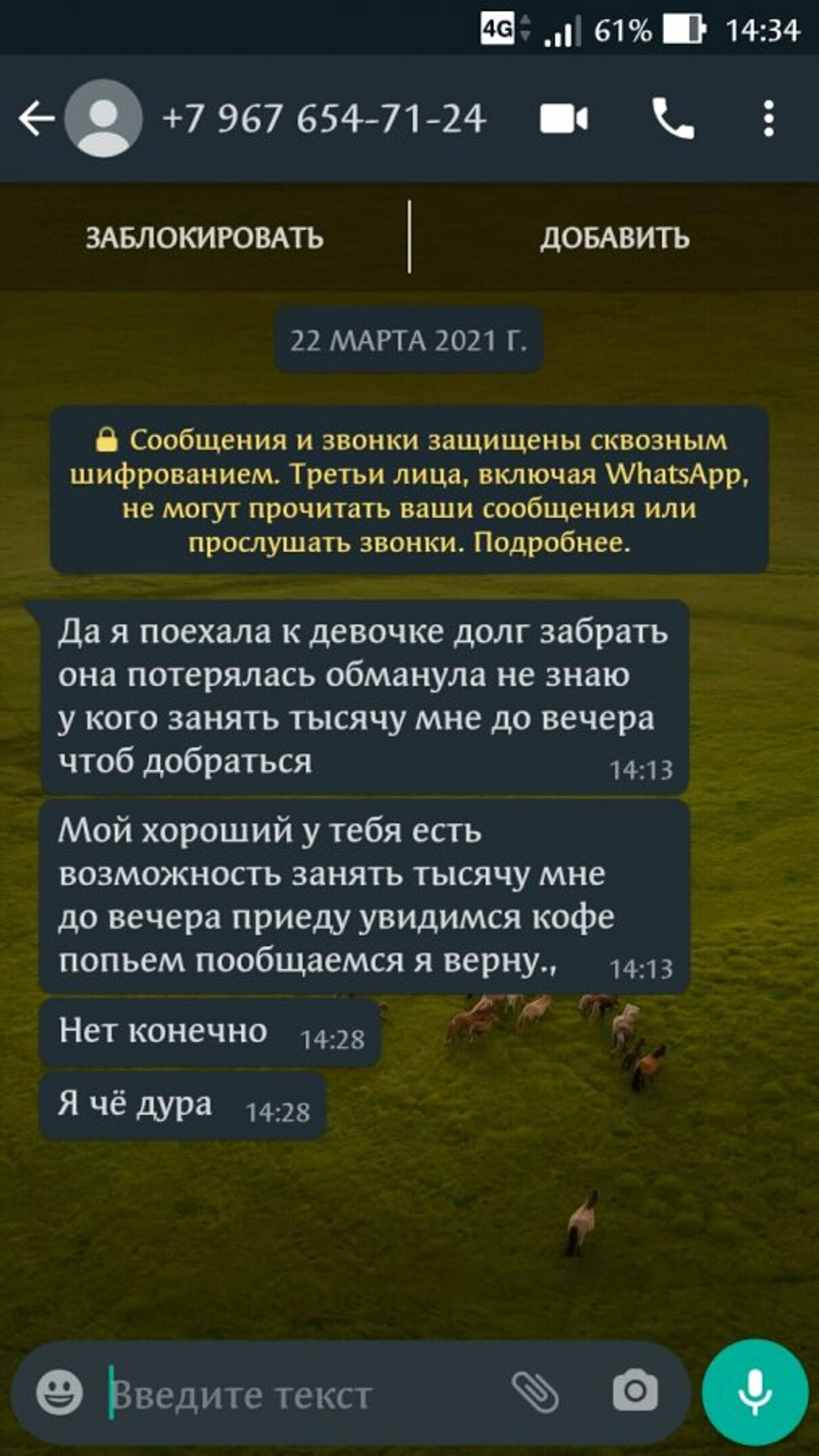 Жалоба / отзыв: ДРУГ ВОКРУГ - Девушка Мошенница номер +79676547124